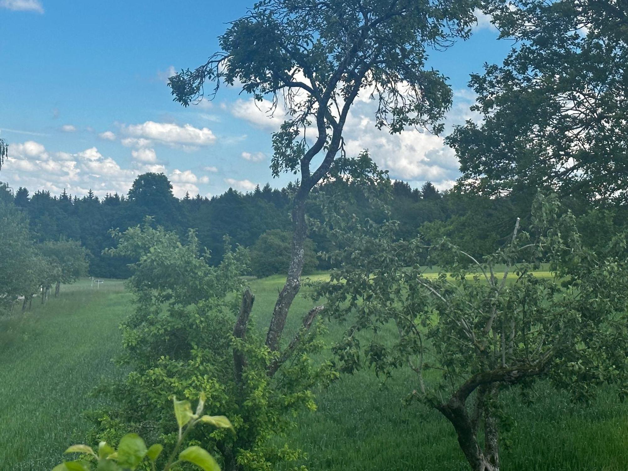 Ferienunterkunft Schwaebischer Wald Oberrot Екстериор снимка